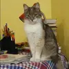 Отзыв от Роза Грачева